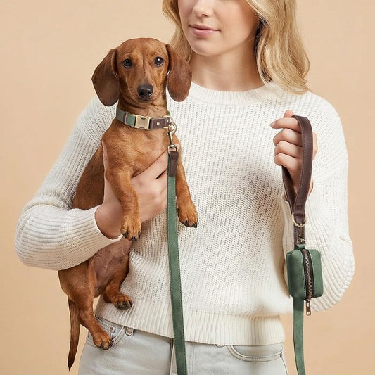 Close up of Didog dog collar quick release metal buckle