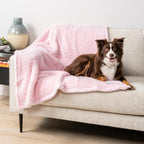 PetAmi Dog Blanket for Small Dogs Pink, Fluffy Soft Puppy Blanket, Sherpa Fleece Cat Blanket for Kitten Doggie, Calming Pet Blanket Throw for Couch Sofa Bed Washable, Small 24x32 - Image 11