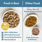 Fresh Is Best raw freeze dried cat food kibble texture