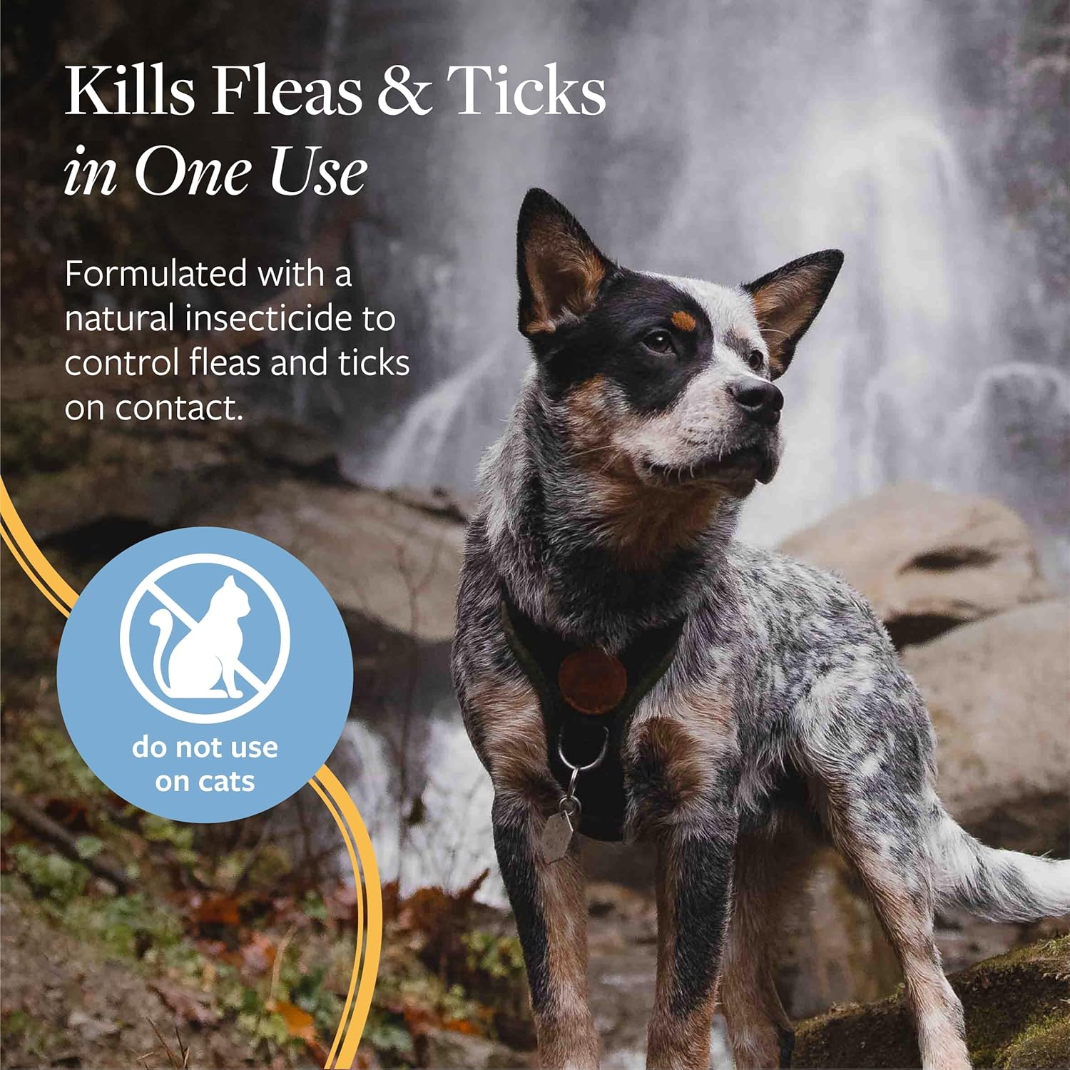 Veterinary Formula spray for dog bedding and crates