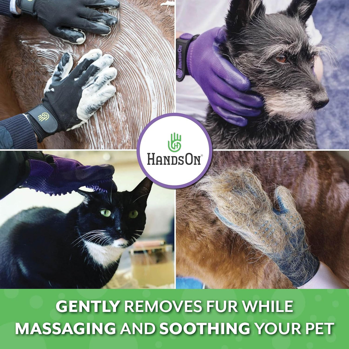 H HandsOn gloves showing scrubbing nodules on palms