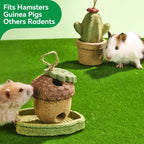 Durable eleven ounce rodent molar grinding treats inside a pet enclosure