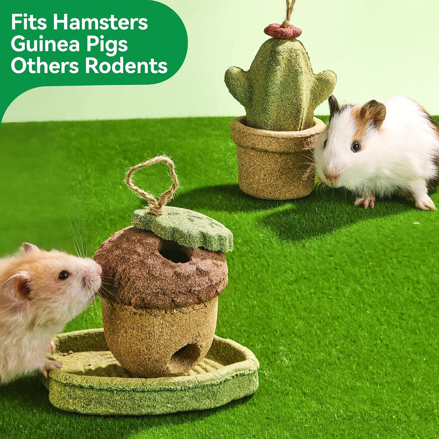 Durable eleven ounce rodent molar grinding treats inside a pet enclosure