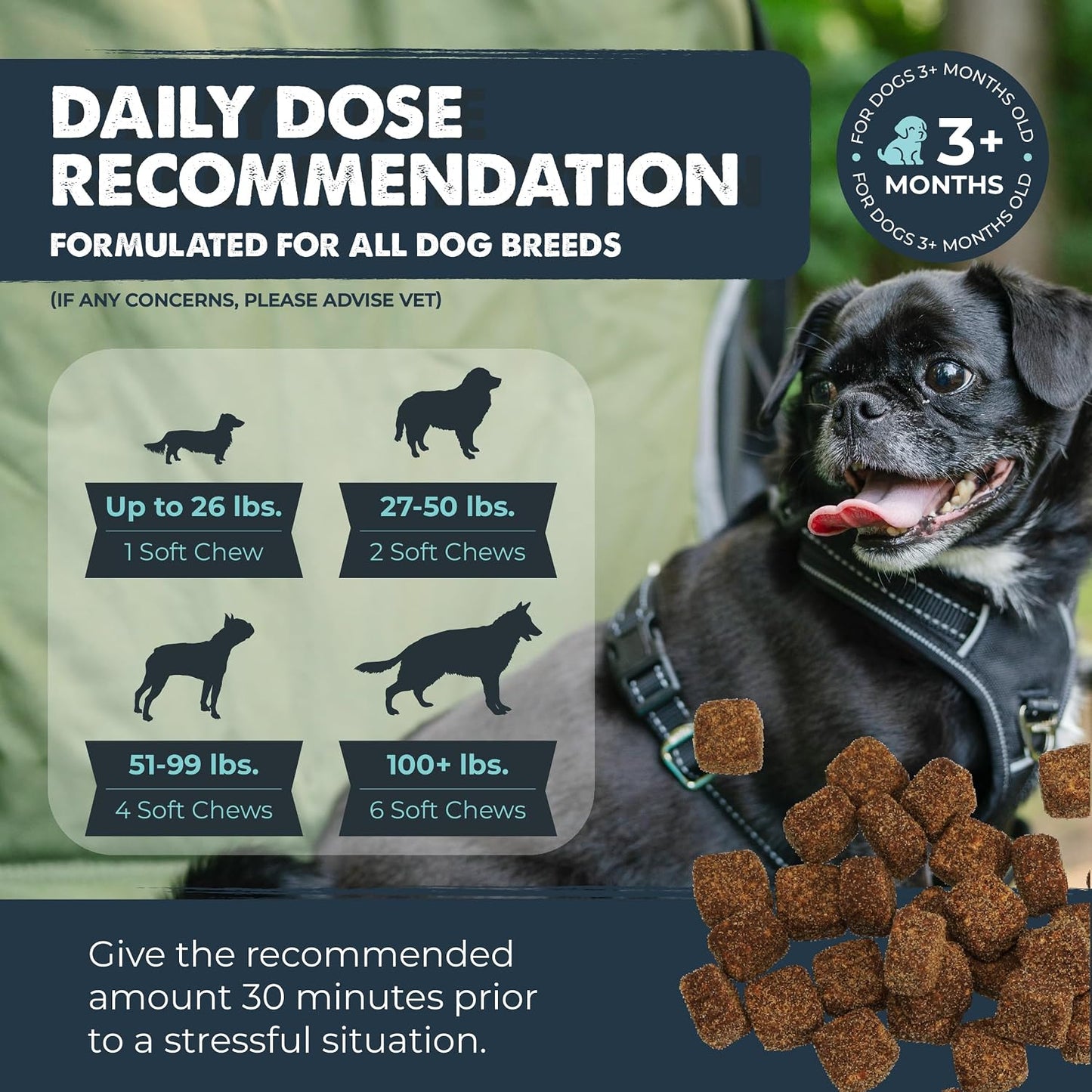USA imported dog anxiety relief supplement 120 count bottle