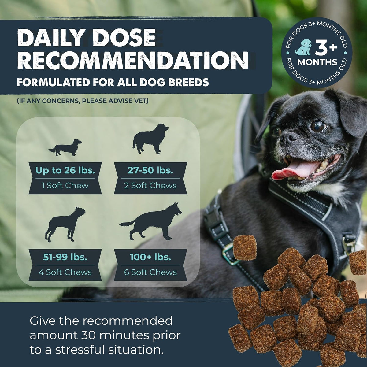 USA imported dog anxiety relief supplement 120 count bottle