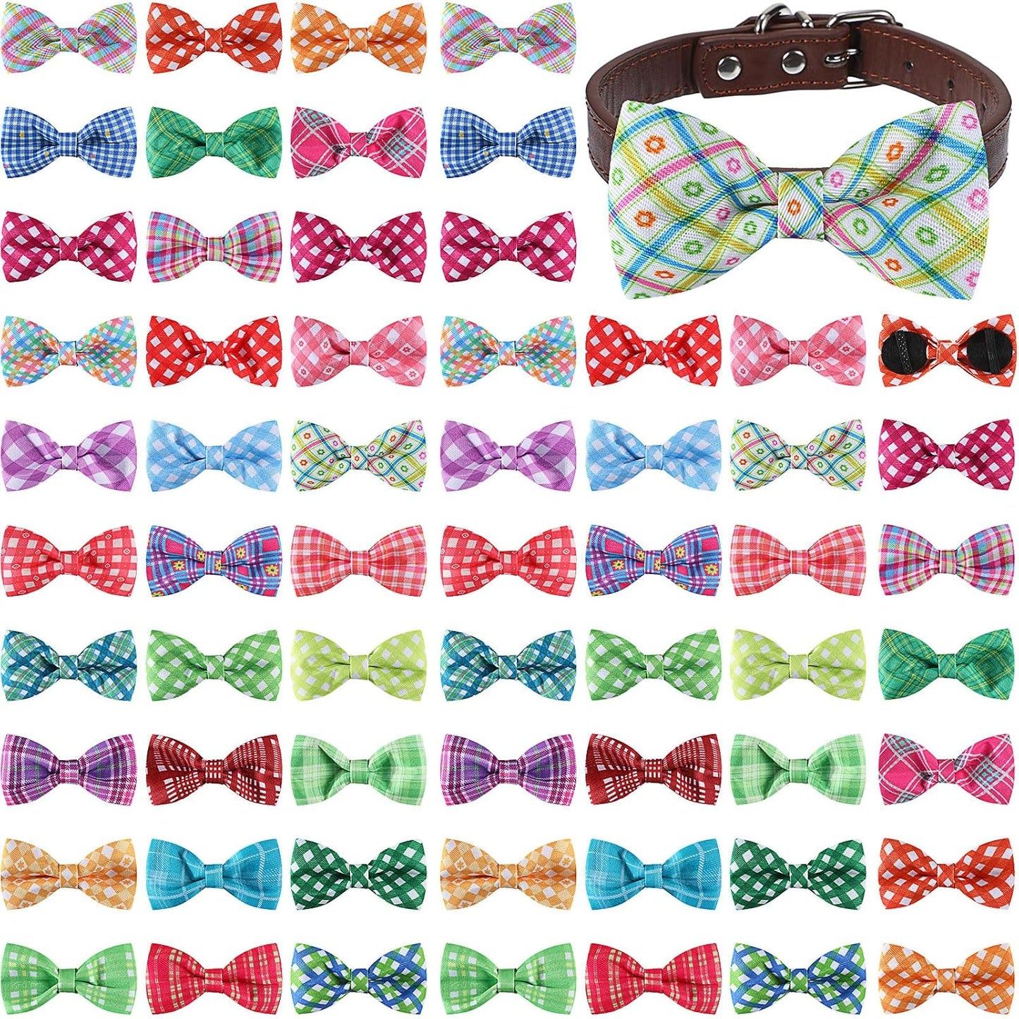 Medium size dog showcasing a green and white plaid grooming bowtie charm