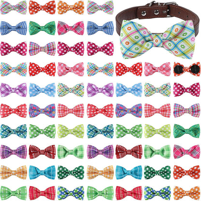 Medium size dog showcasing a green and white plaid grooming bowtie charm