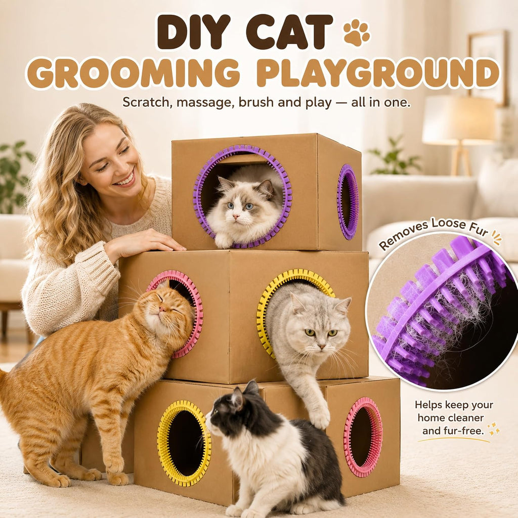 Cat passing through cardboard box with grooming brush ring installed