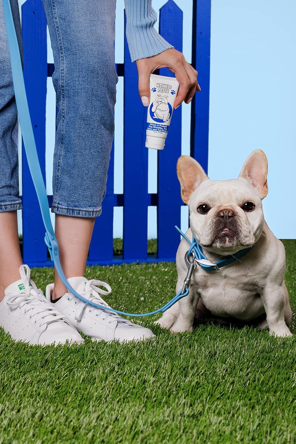 Applying Squishface wrinkle cleaner to a french bulldog face