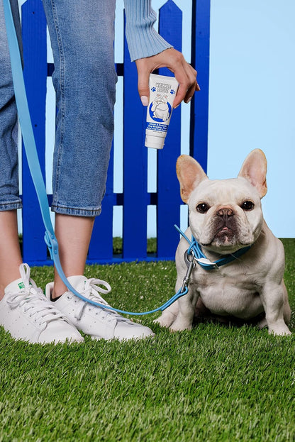 Applying Squishface wrinkle cleaner to a french bulldog face