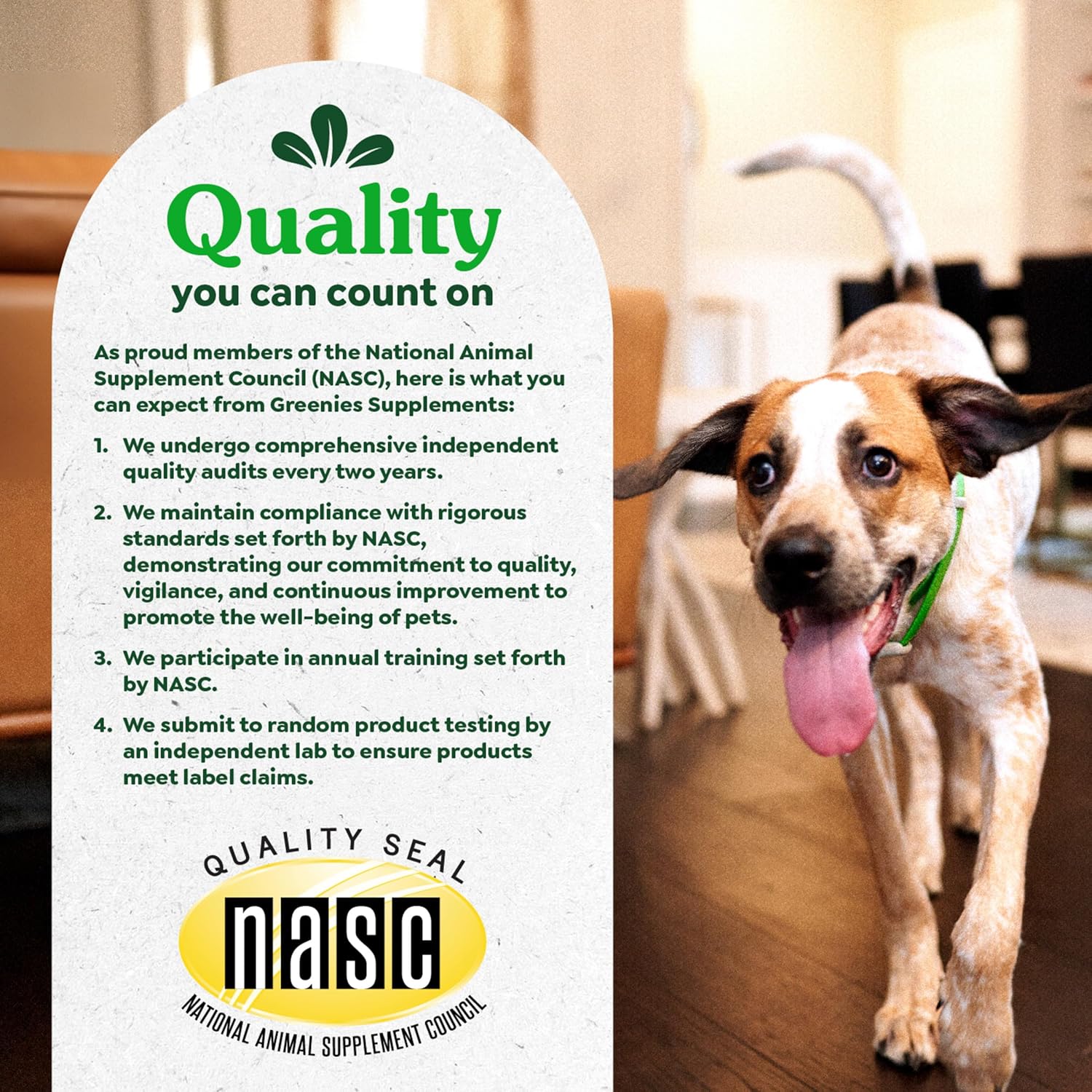 Greenies thirty count hip and joint soft chews back label instructions