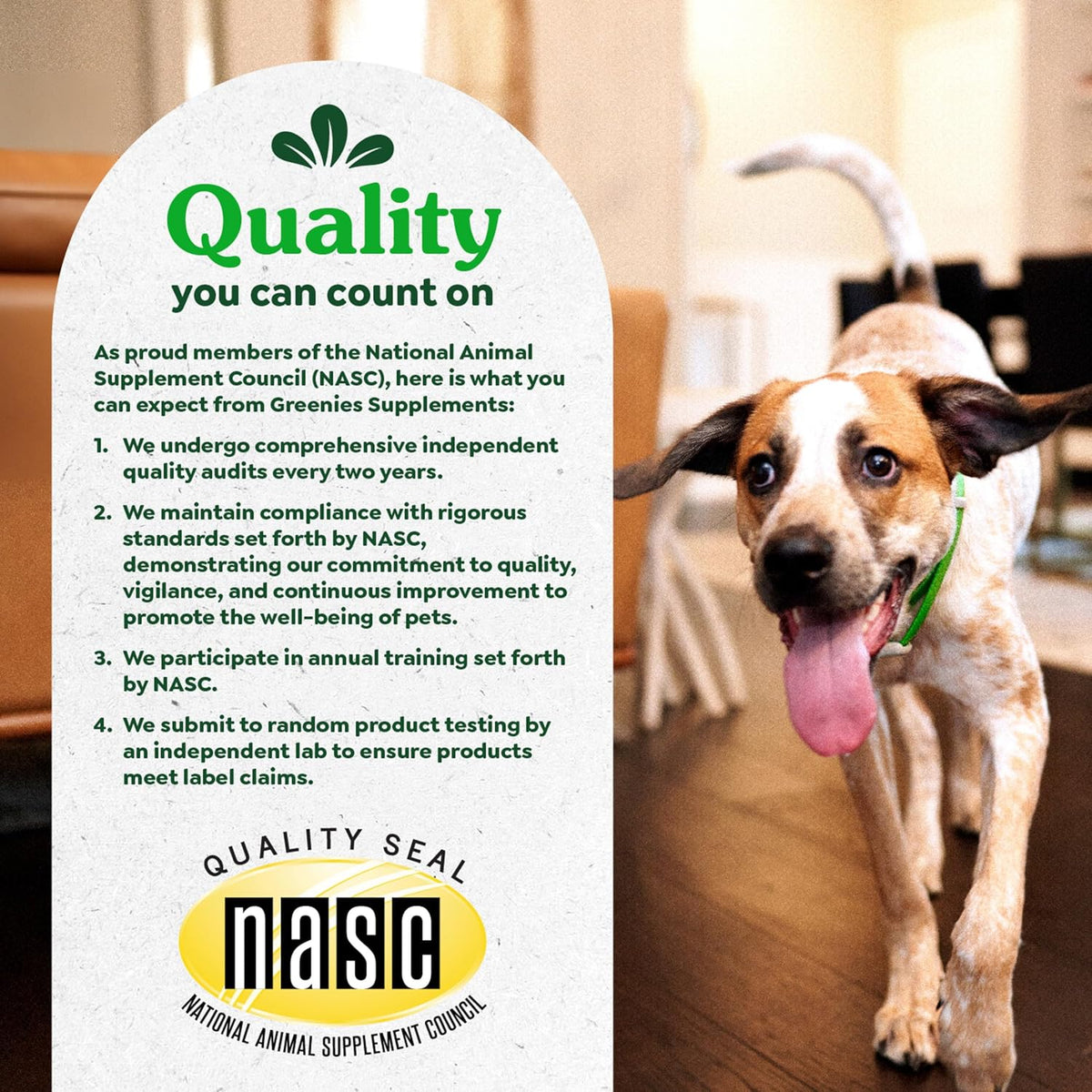 Greenies thirty count hip and joint soft chews back label instructions