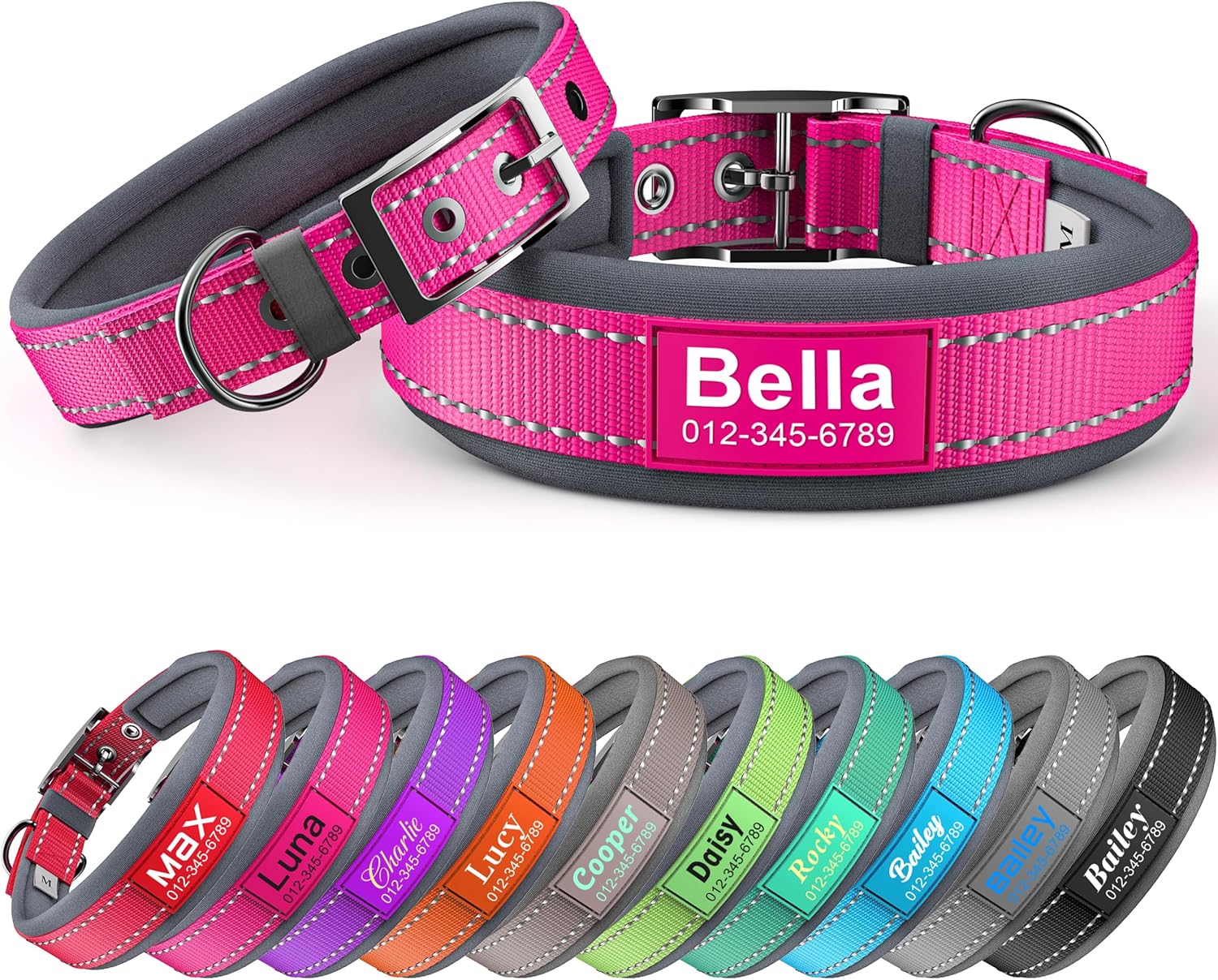 Dazner personalized dog collar front view with metal buckle