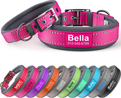 Dazner personalized dog collar front view with metal buckle