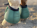 Hunter green ballistic nylon equine overreach boots pair display