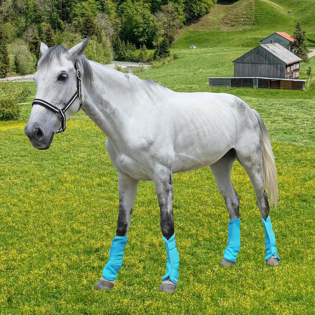 Durable hook and loop fasteners on horseware leg wraps