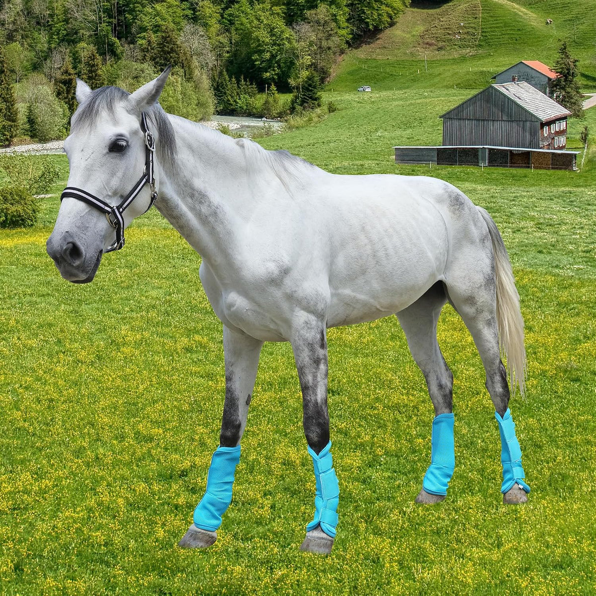 Durable hook and loop fasteners on horseware leg wraps