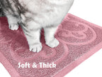 PetLike waterproof cat litter mat undergoing easy rinsing maintenance