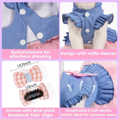 Back view of miniature dog wearing pink tulle outfit