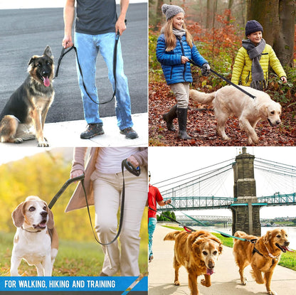 Reinforced nylon stitching detail on the Jewoster double handle training leash.