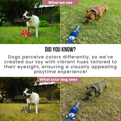 Durable aluminum pet exercise stick with secure detachable lure mechanism