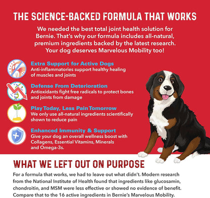 Bernie's Marvelous Mobility pork flavored dog supplement chews for joint pain relief