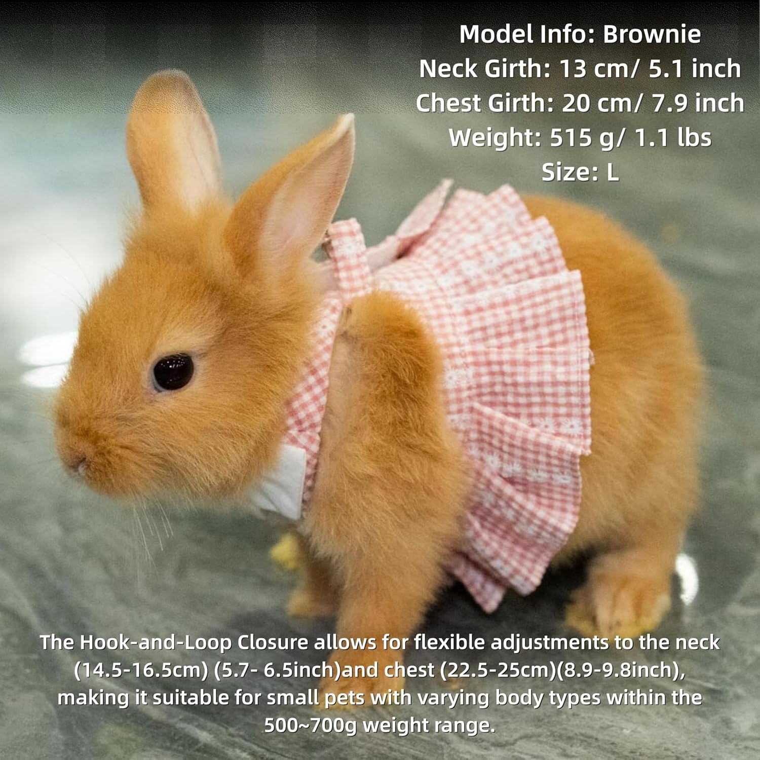 Imported bunny dress with white flower buttons detailing close up view.