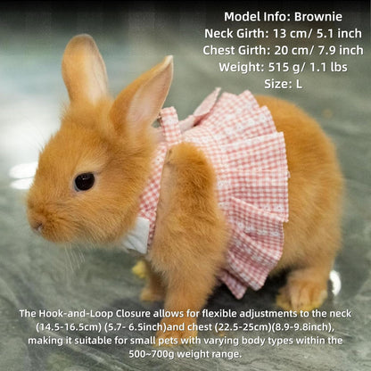 Imported bunny dress with white flower buttons detailing close up view.