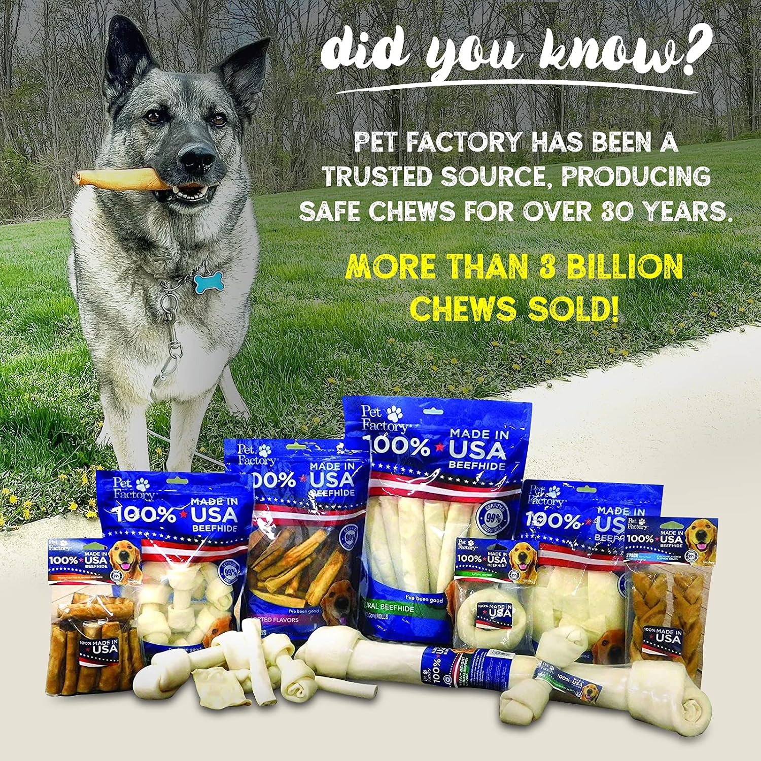 Premium 100 percent made in USA dog dental treats