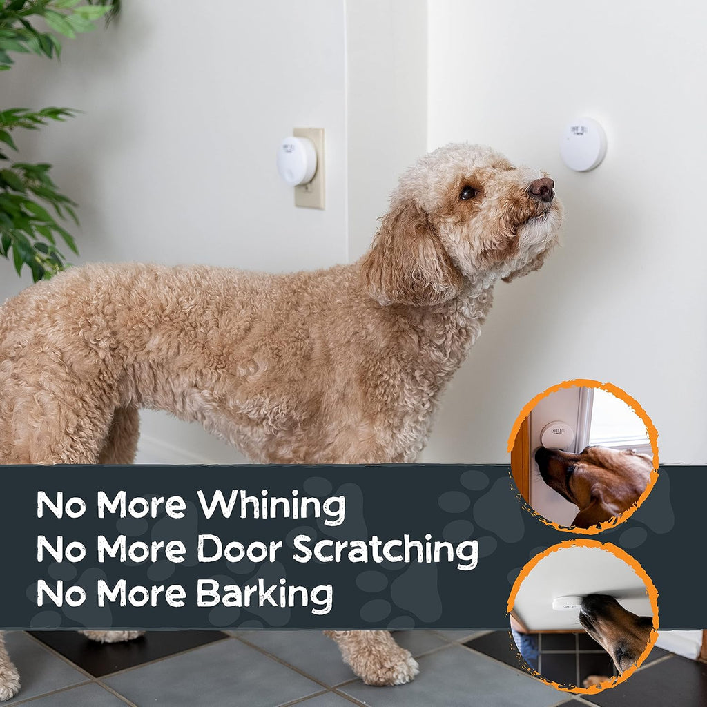Puppy pressing the Mighty Paw potty training button