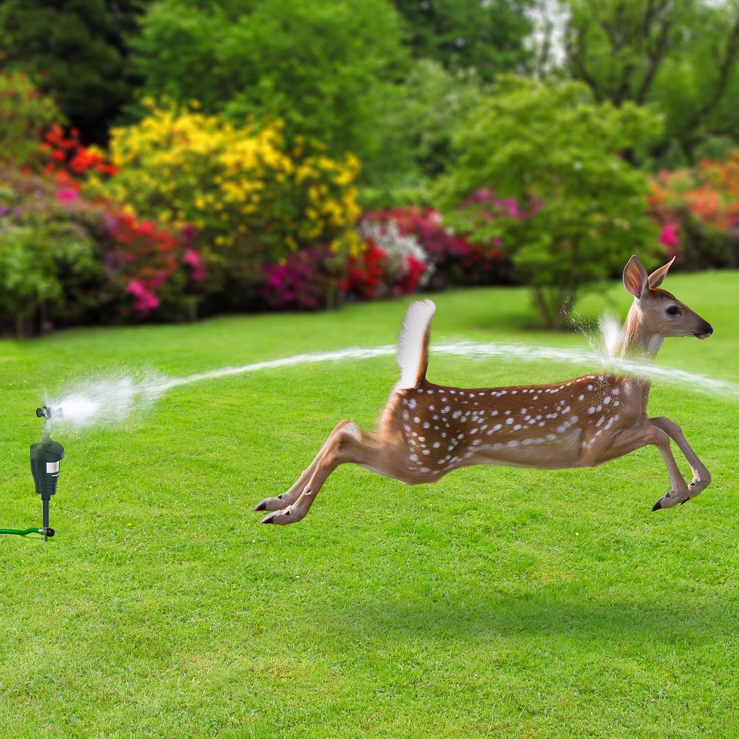 Hoont Cobra outdoor animal deterrent spraying five second intermittent water blast