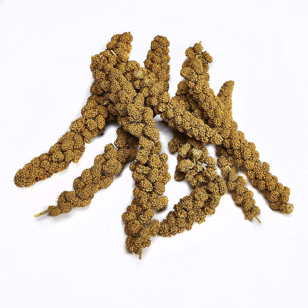Close up of Kaytee Millet Sprays stem texture