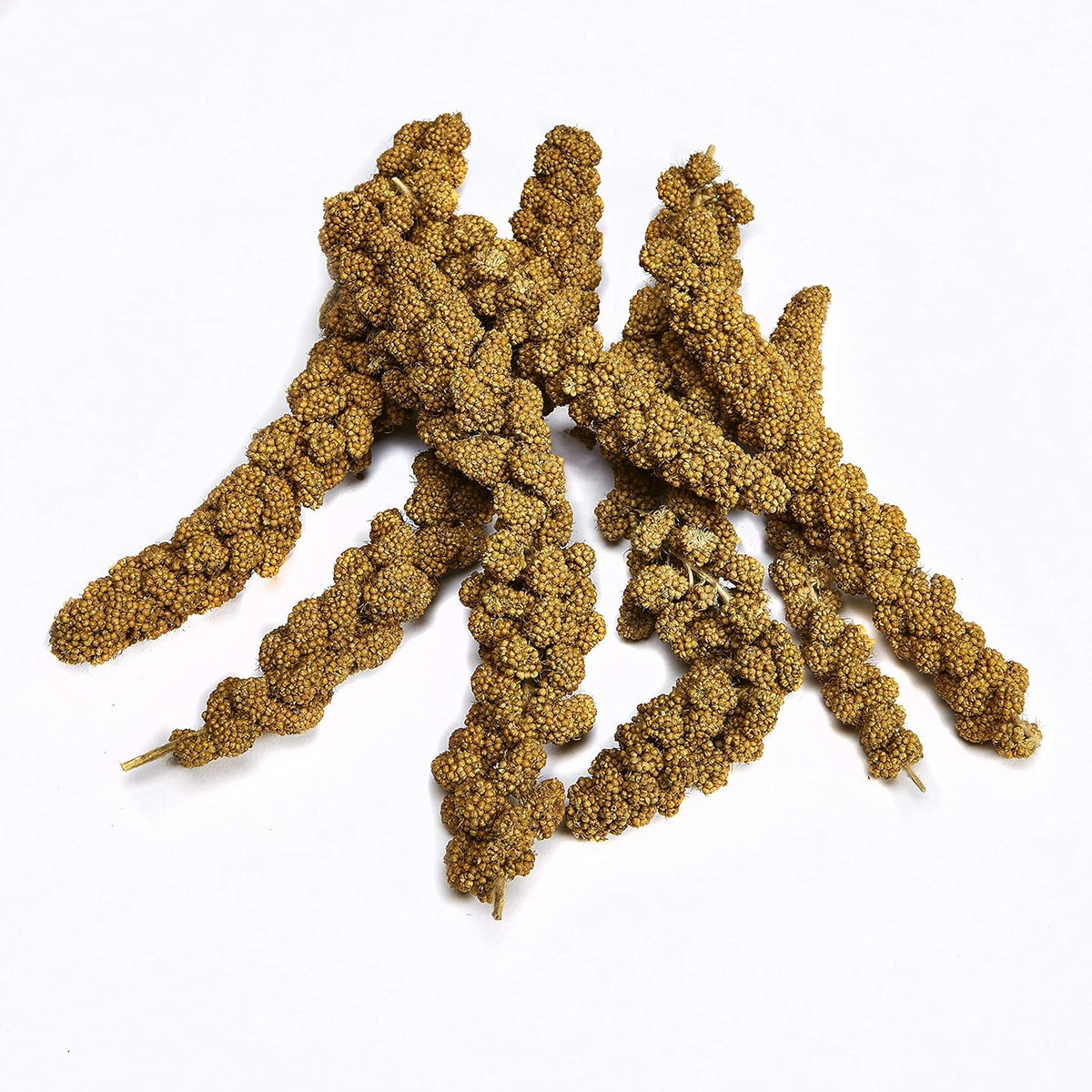 Close up of Kaytee Millet Sprays stem texture