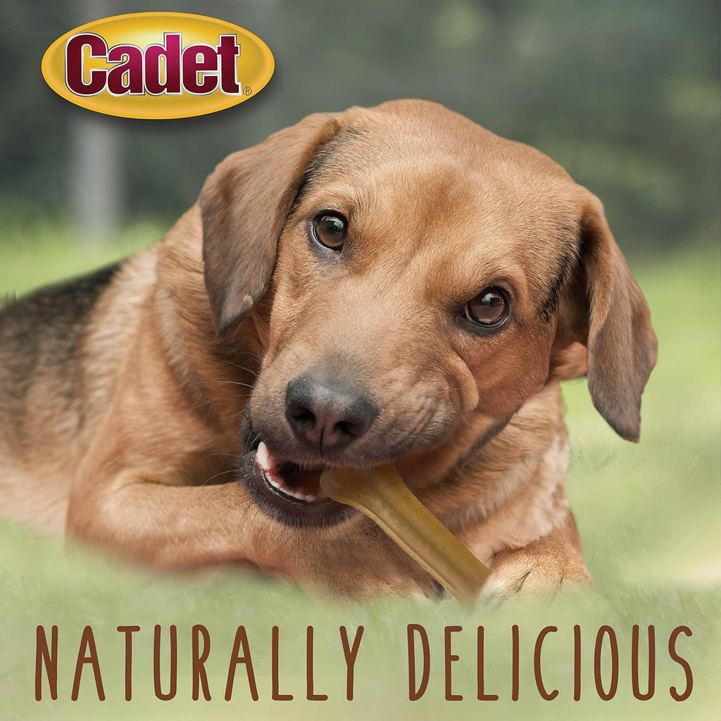 Cadet single ingredient natural rawhide chew bones for aggressive chewers