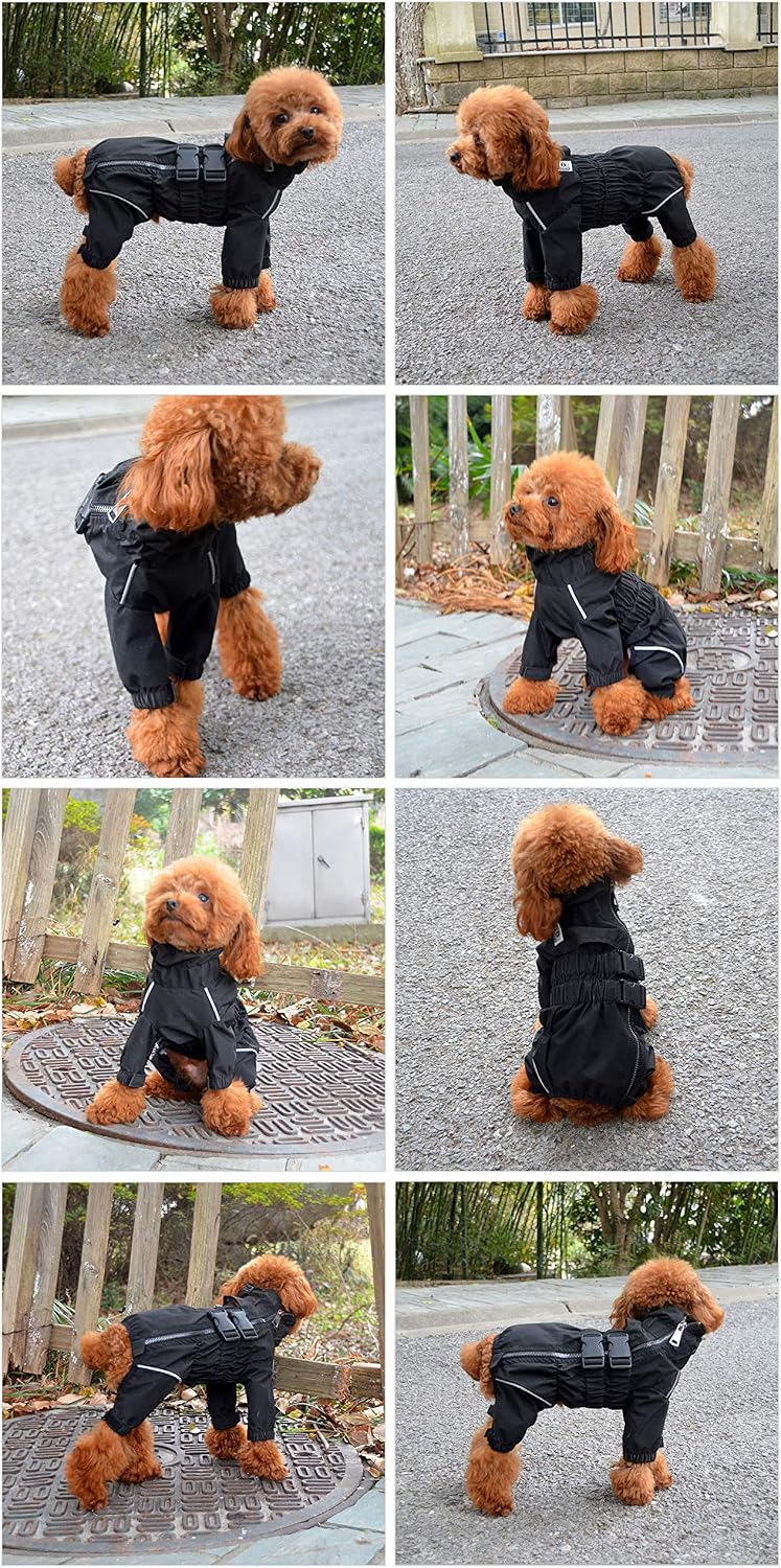 Adjustable metal zipper closure on full body dog raincoat back view