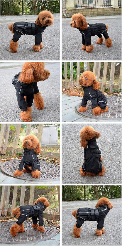 Adjustable metal zipper closure on full body dog raincoat back view
