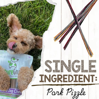 Premium natural bacon dog chew treats showing texture and thin design