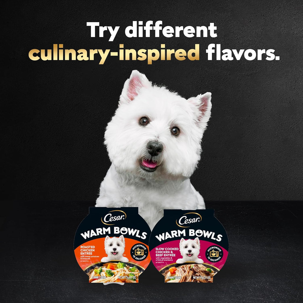Cesar Warm Bowls Wet Dog Food Chicken & Beef Entre with Vegetables & a Hint of Cranberry in Broth, Wet Food for Dogs, 2.7 oz Bowls, 10 Count - Image 9