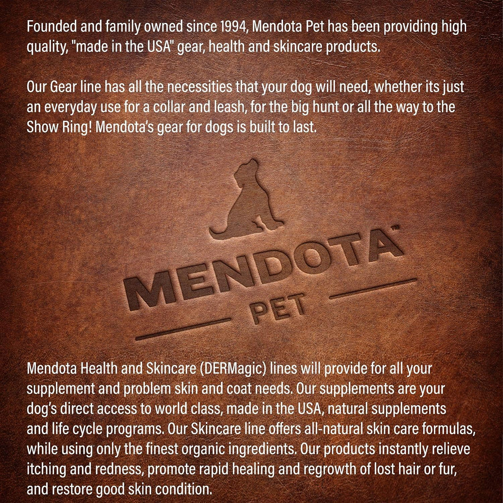 Mendota Pet slip leash extended to show full six-foot length.