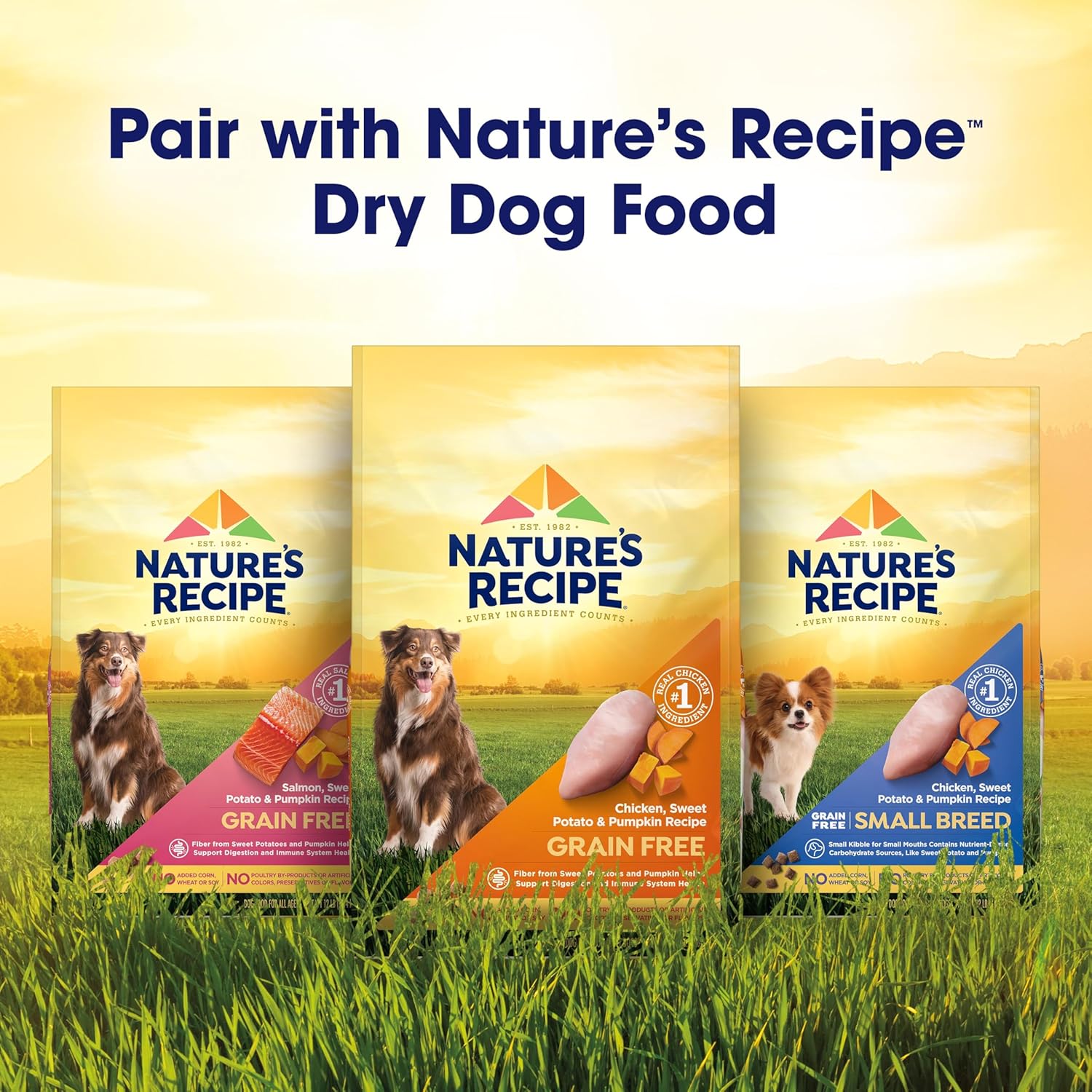 Nature's Recipe Grain Free Wet Dog Food Salmon, Sweet Potato, and Pumpkin Recipe, 13 oz. Can (Pack of 12) - Image 9
