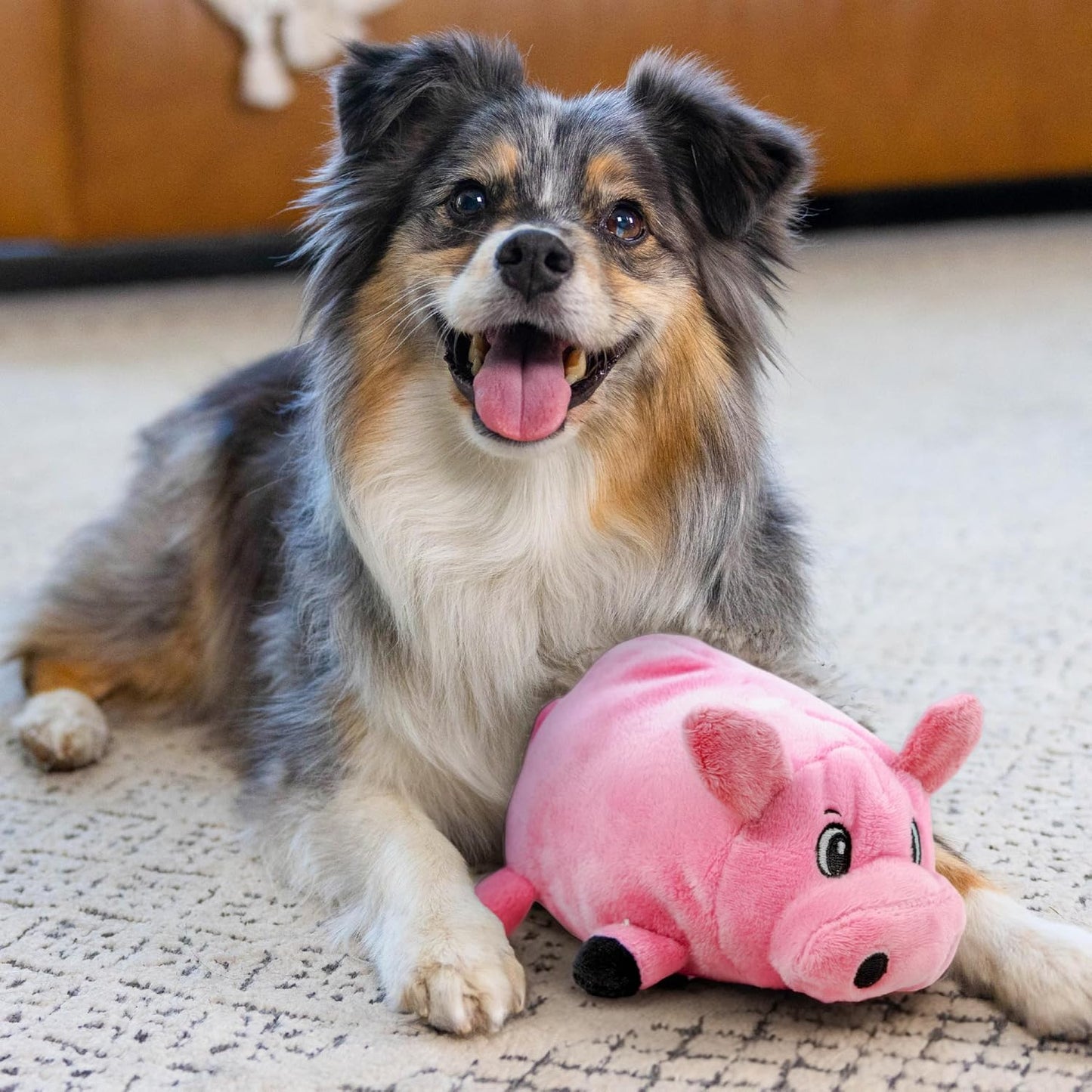 Premium USA sourced dog plush toy illustrating soft plush texture for indoor cuddling.