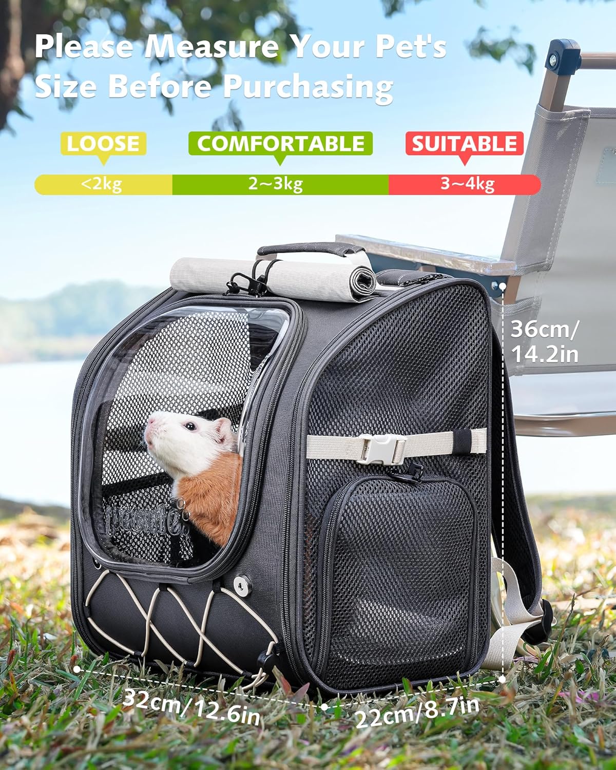 Pecute Small Pet Carrier, Breathable Bearded Dragon Carrier, with Transparent Bubble & Steel Frame, Safety Lock for Hamster, Rabbit, Guinea Pig, Parrot, Kitten, Puppy, Ideal for Travel/Vet Visits/Camp - Image 8
