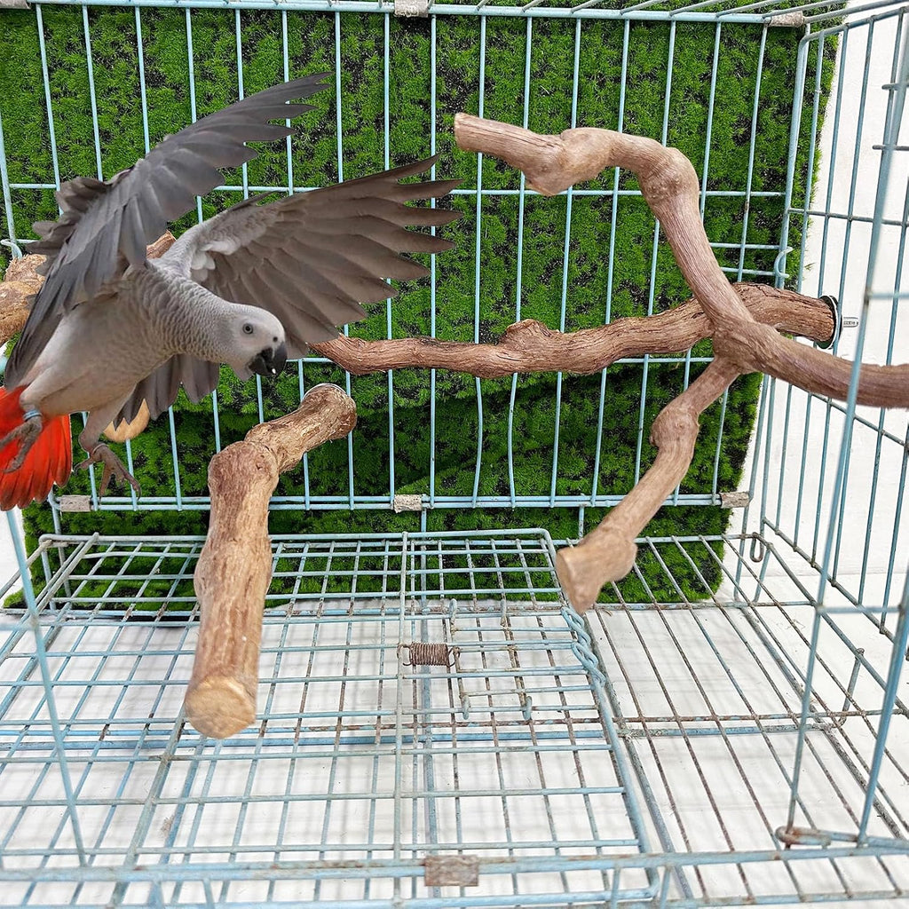 4PCS Bird Perch Natural Grape Stick Bird Standing Stick Grapevine - Image 8