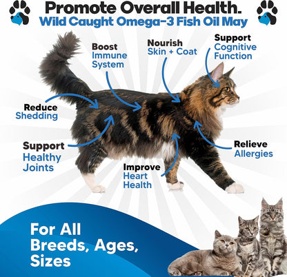 Plano Paws liquid pet supplement showing pump dispenser for easy mixing with cat food.