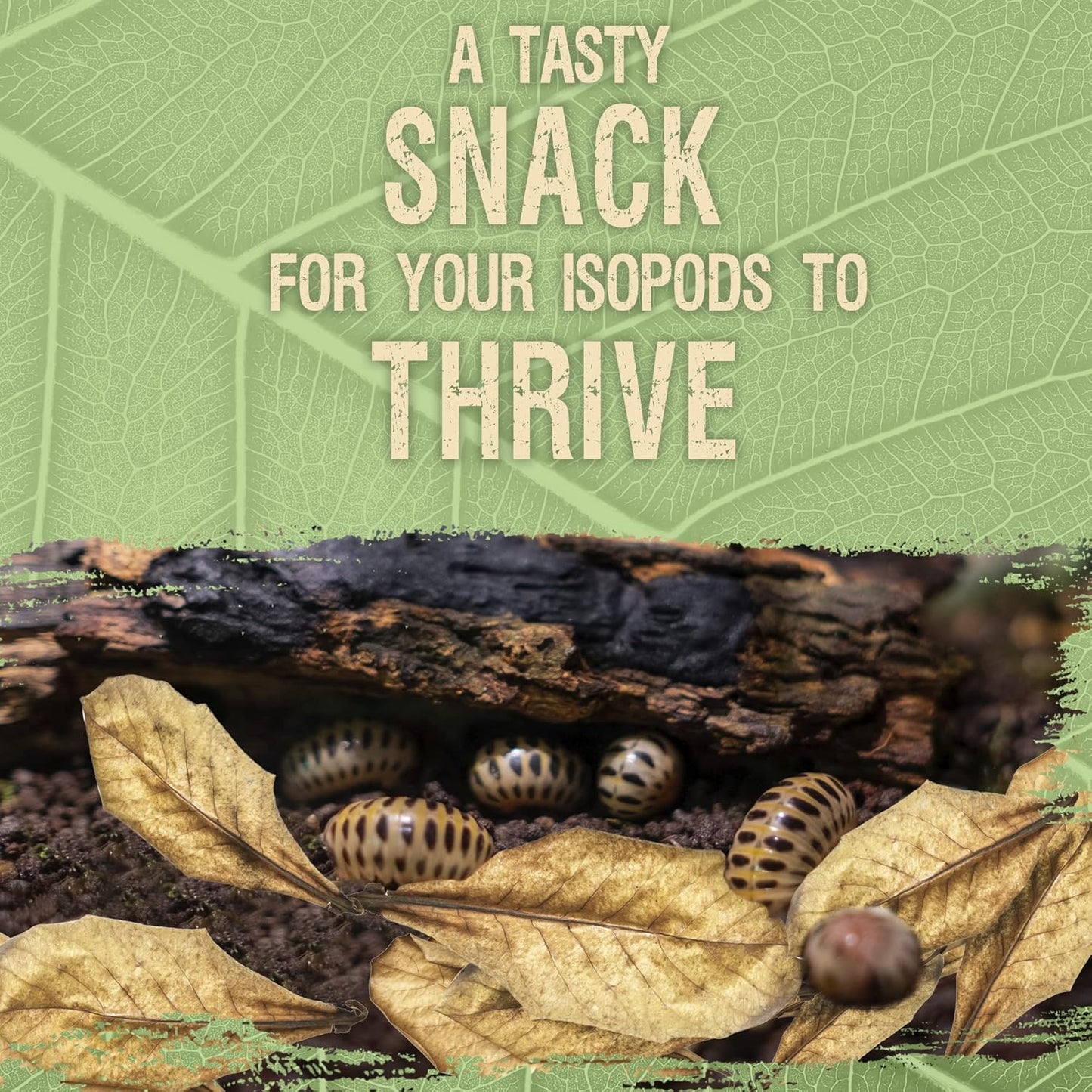 Organic leaf litter substrate from SunGrow for spider and tarantula enclosures