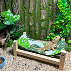 Small animal wooden sleeping cot setup inside a reptile enclosure habitat