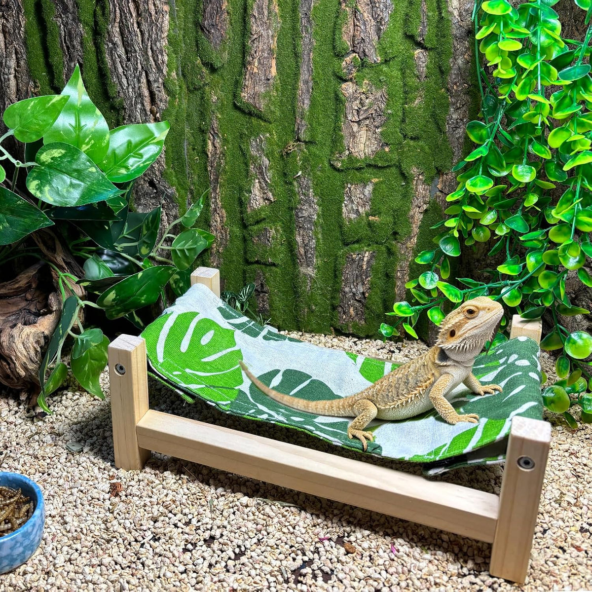 Small animal wooden sleeping cot setup inside a reptile enclosure habitat