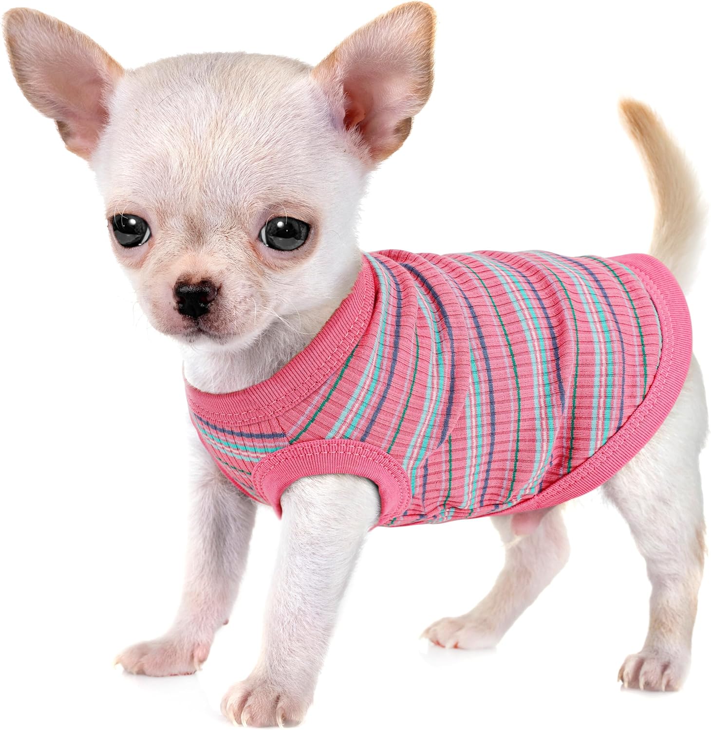 Elevate Your Pet's Comfort and Fashion: Premium 100% Cotton Rib Dog Shirt Vest for Small Breeds Like Chihuahuas, Yorkies, and Puppies .Year-Round Style with Tank-Style Puppy Attire Light Purple XXS - Image 9