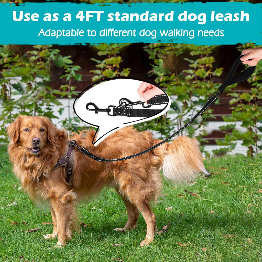 PetBonus double point dog lead showing three hundred sixty degree swivel clip