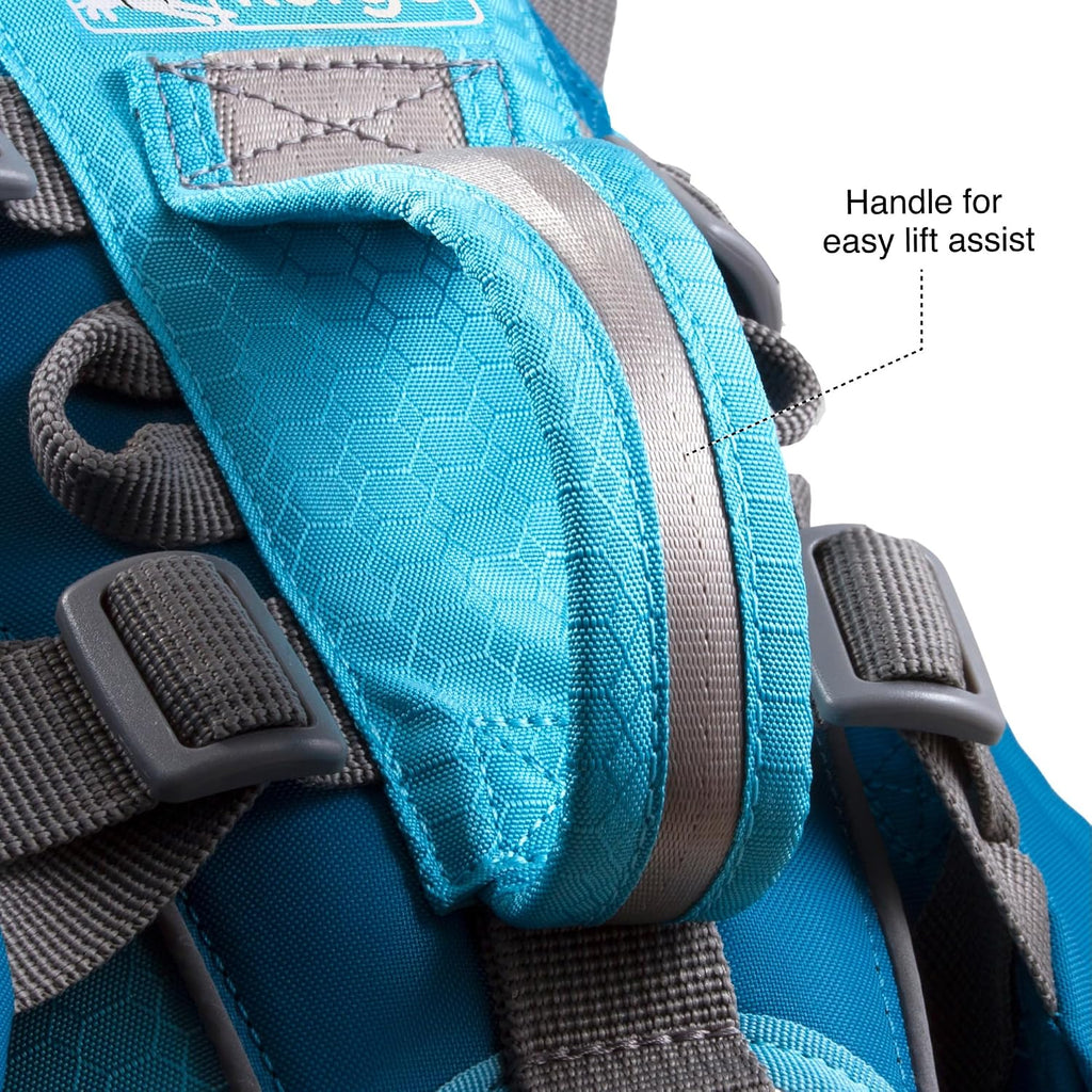 Padded top handle and reflective trim on a blue pet backpack